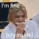 Стикер Skz | Stray Kids