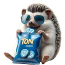 Crypto Ejik