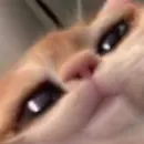 Стикер Чилипиздрик