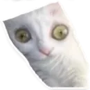 Стикер Чилипиздрик