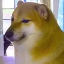 Стикер Cheemsburbger's Redemption