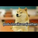 Стикер Cheemsda