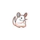 Chinchilla