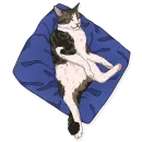 Стикер МоиКоты