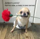 Стикер Dogs