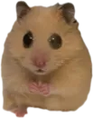 Хомяк Личи