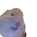 Стикер Хомяк Личи