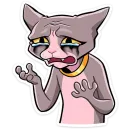 Стикер Клео 2