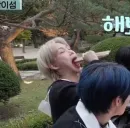 Стикер stray kids memes