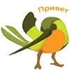 Colibri