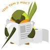 Стикер Colibri