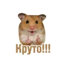 Стикер TCA