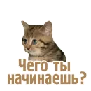 Стикер TCA