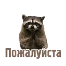 Стикер TCA