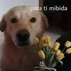 Стикер lol