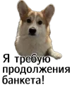 Стикер Corgi Cheetos
