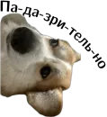 Стикер Corgi Cheetos
