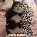 Стикер Memes | Мемы