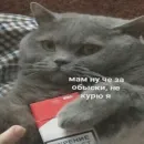 Стикер Memes | Мемы