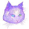 Стикер Cosmic Cats