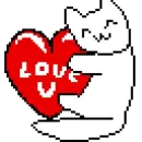 Котики
