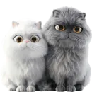 Стикер Парные котейки