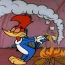Стикер Woody Woodpecker