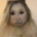 Стикер Monkeys