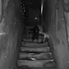 Стикер Creepy Pastah