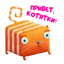 CubicCat / Кубокот