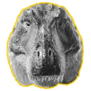 Стикер cursed dinosaurs