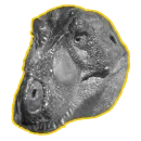 Стикер cursed dinosaurs