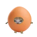 Стикер Catzzz!