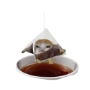 Стикер Catzzz!