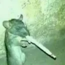 Стикер Cute Copies