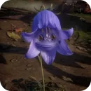 Стикер Flowers