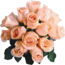 Стикер Цветы 2