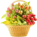 Стикер Цветы 2