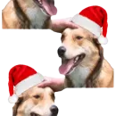 Стикер DDDoges