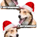Стикер DDDoges