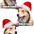 Стикер DDDoges