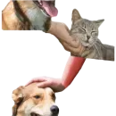 Стикер DDDoges