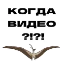 Стикер Дино