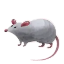 Стикер Да, я крыса