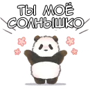 Ежедневная панда
