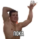 Стикер Данил Степанов