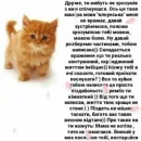 Стикер Життєво -_-