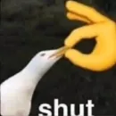 Стикер Життєво -_-