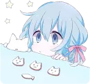Dear Neko