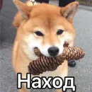 Стикер Death Row